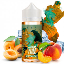 E-liquid Kansetsu (peach, apricot, freshness) - Fighter Fuel 100 ml - Swiss ProVape