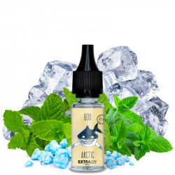 DIY-Konzentrat God Arctic ExtraDIY frostige Minzaromen günstig Schweiz - Swiss ProVape