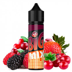 E-liquid Cranberry Red Berries - Big Mix by Liquidelab | 50 ml - Swiss ProVape