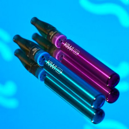 Pod-Kartuschen Kiwi GO PLUS - Grape Ice - Kiwi Vapor | 2er-Pack