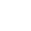 logo marque Kiwi